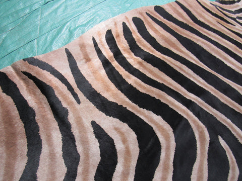 Genuine Zebra Print Cowhide Rug Size: 7' X 6' Black Stripes, Dark Grey/Brown Inner Stripes Zebra Print Cowhide Rug B-248