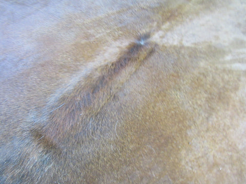 Giant Solid Brown Cowhide Rug - Size: 8.7x8 feet C-1712