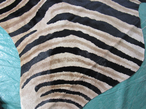 Genuine Zebra Print Cowhide Rug Size: 7' X 5 3/4' Black Stripes, Medium Brown Inner Stripes Zebra Print Cowhide Rug B-249