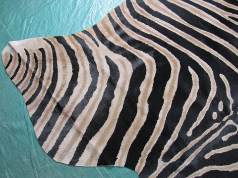 Genuine Zebra Print Cowhide Rug Size: 7' X 5 3/4' Black Stripes, Medium Brown Inner Stripes Zebra Print Cowhide Rug B-249