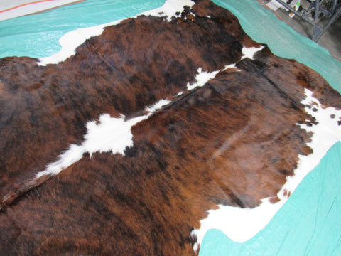 White Belly & Spine Brindle Cowhide Rug Size: 7x6 feet B-255