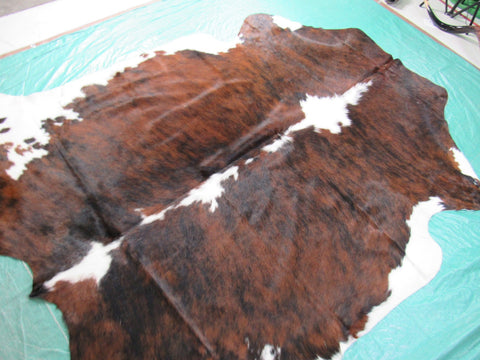 White Belly & Spine Brindle Cowhide Rug Size: 7x6 feet B-255