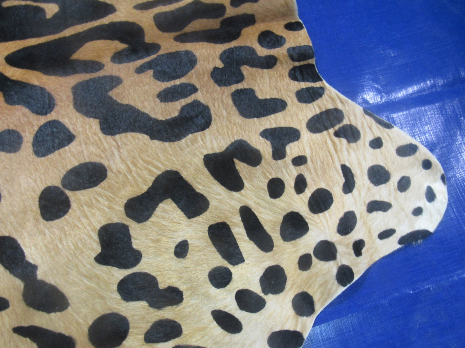Jaguar Print Cowhide Rug - Size: 7x6 feet K-258