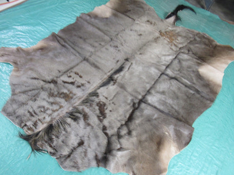 Wildebeest Skin Rug (Tail is 19") Size: 64x58 inch B-257