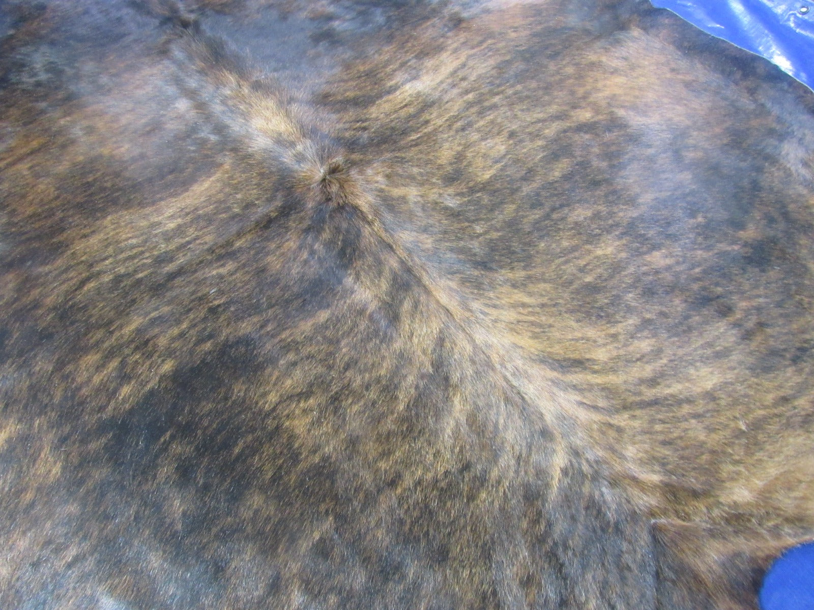 Dark Brown Brindle Cowhide Rug - Size: 7.2x6.7 feet O-1168