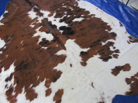 Speckled Tricolor Cowhide Rug - Size: 6.5x6.2 feet K-278