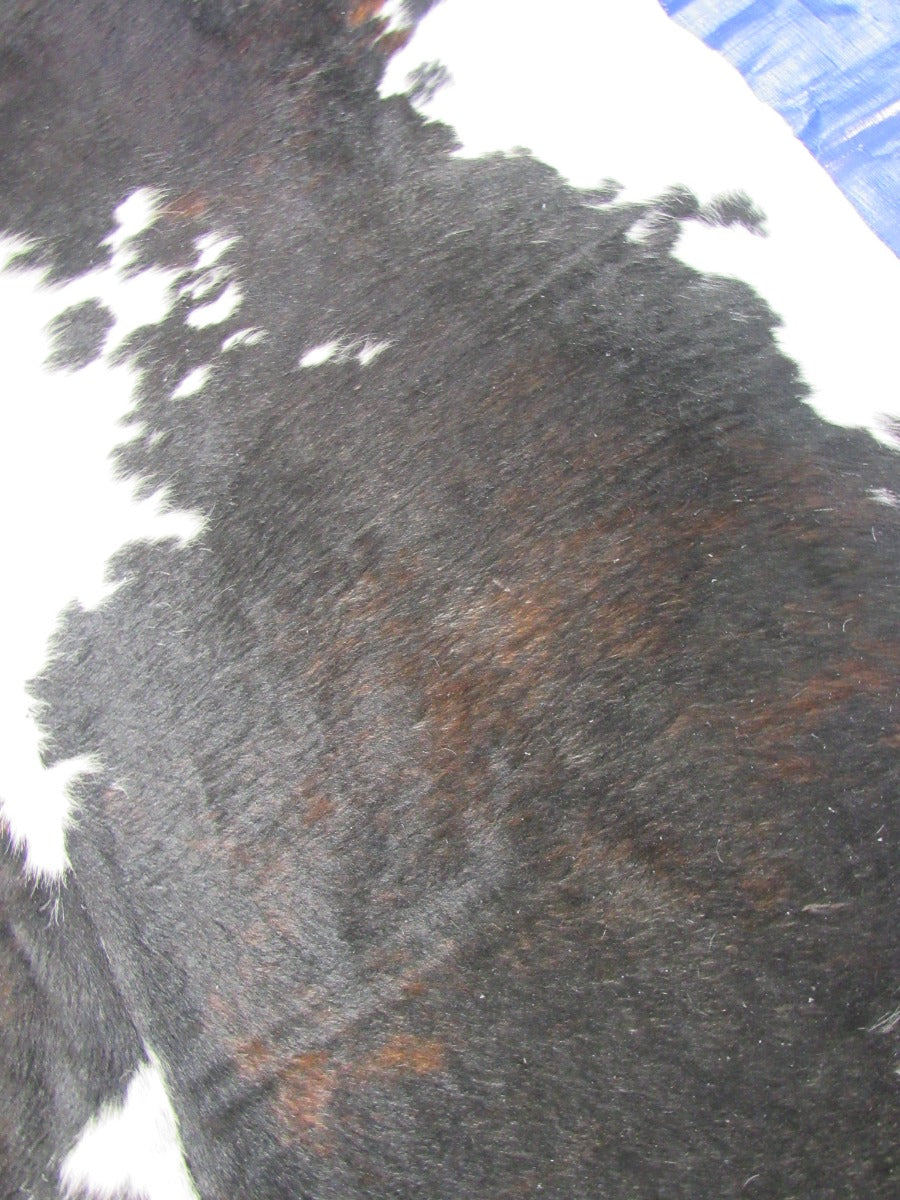 Dark Speckled Tricolor Cowhide Rug (very little brown) - Size: 7.2x6.2 feet K-296