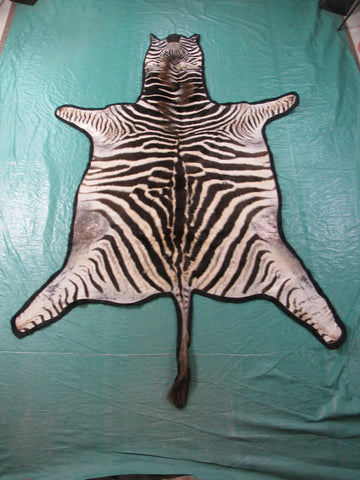 Real Zebra Skin