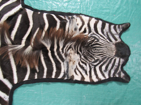 Real Zebra Skin