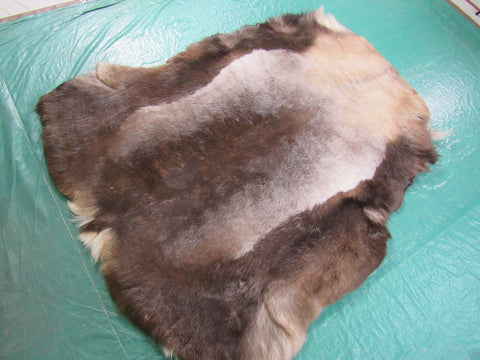 Reindeer Skin from Scandinavia HUGE Size: 63" X 53" Genuine Reindeer Skin K-129