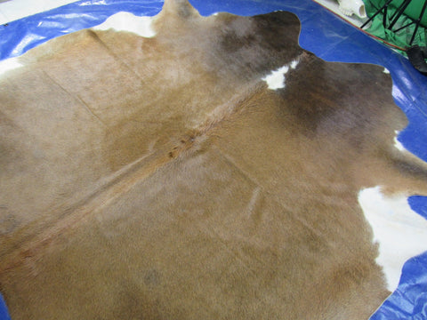 Reddish Brown Cowhide Rug (Hereford Style) - Size: 8x8.2 feet K-297