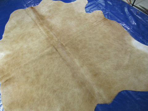 Solid Palomino Cowhide Rug - Size: 6x6.5 feet K-301