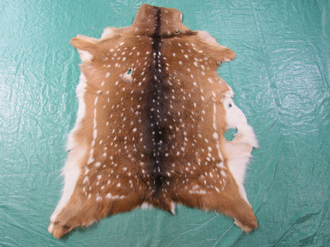 Axis Deer Skin Rug 2nd Grade Size: 40x32" Axis-646