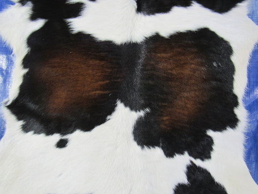Tricolor Calf Skin Size: 37x31" O-258