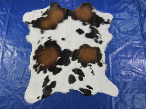 Tricolor Calf Skin - Size: 32x28" O-260