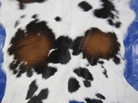 Tricolor Calf Skin - Size: 32x28" O-260