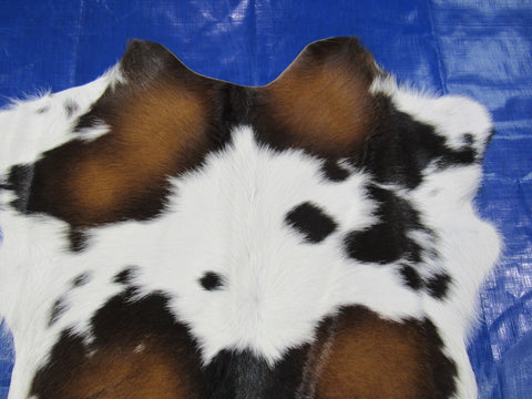 Tricolor Calf Skin - Size: 32x28" O-260