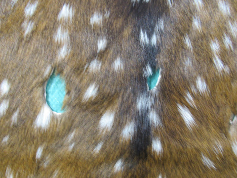 Axis Deer Skin Rug 2nd Grade (several holes) Size: 42x35" Axis-645