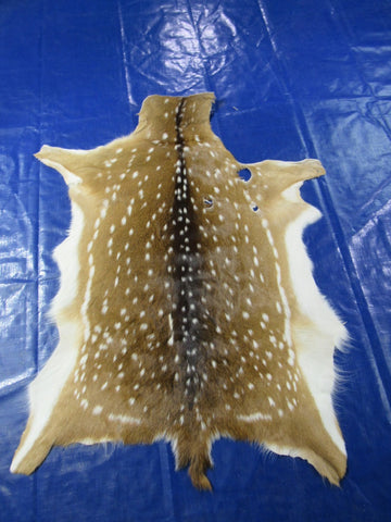 2nd Grade AXIS DEER SKIN (3 holes) Size: 40x30" Axis-706