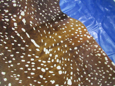 Axis Deer Print Cowhide Rug (1 patch dark brown/ some tone variation) Size: 7x5.7 feet K-308