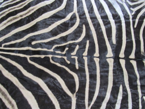 Zebra Skin Rug (Tail is 28"/One scar/wide neck) Size: 7.5x7 feet # 123