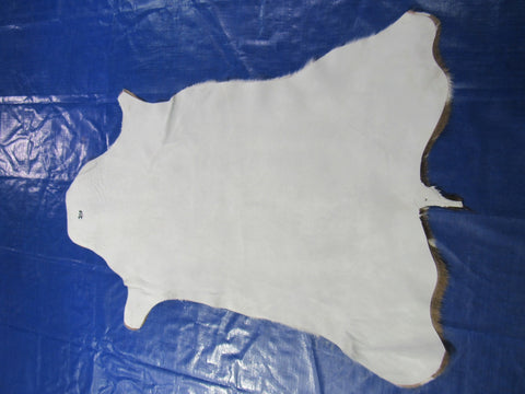 Top quality Axis Deer Skin (no holes) Size: 48x37" Axis-710