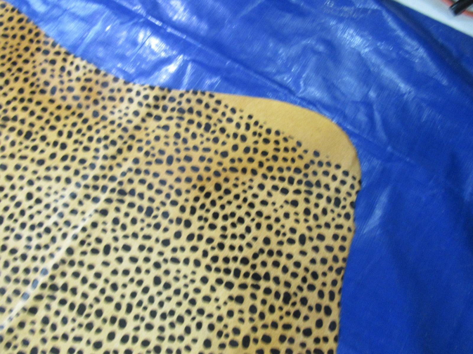 Cheetah Print Cowhide Rug (golden background) - Size: 7.5x6 feet O-274