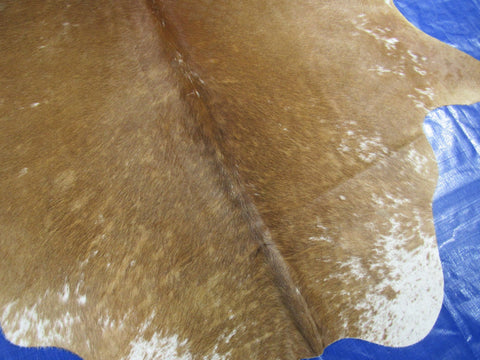 Caramel Brown Speckled Cowhide Rug with White Belly - Size: 6x6.7 feet K-333
