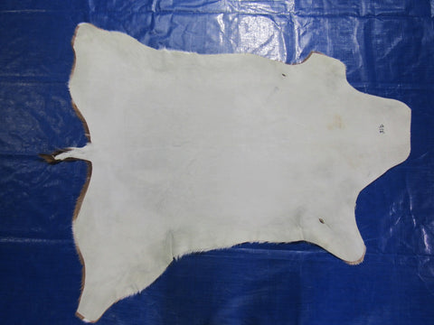 Top Quality Axis Deer Skin (2 holes in shoulder area) Size: 47x40" Axis-718