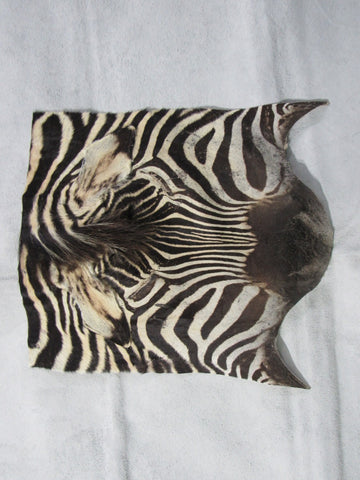 Zebra Face # 2 Size: 19x17"