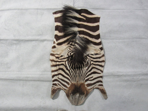 Zebra Face # 4 Size: 32x18"