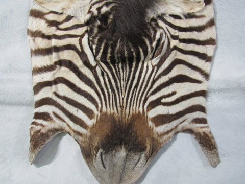 Zebra Face # 4 Size: 32x18"