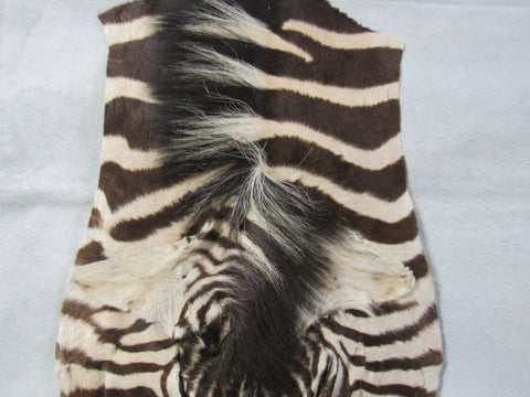 Zebra Face # 4 Size: 32x18"