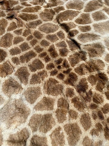 Real Giraffe Skin # 1 Body Size: 65X88 inch (excluding tail)