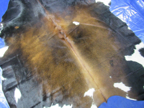 Dark Reddish Brown with White Belly Cowhide Rug - Size: 7x6.2 feet M-1594