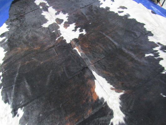 Huge Tricolor Speckled Cowhide Rug - Size: 8.2x7.2 feet K-338