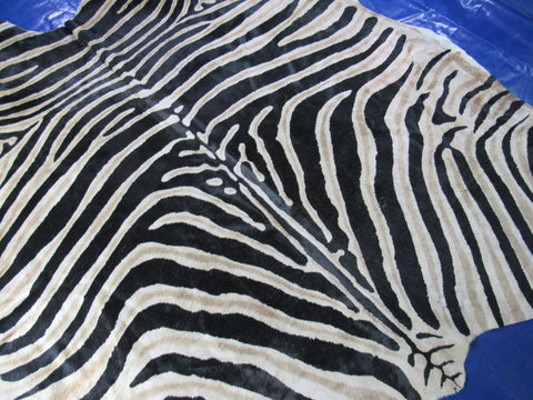 Genuine Zebra Print Cowhide Rug (dark brown inner stripes) - Size: 7x6.2 feet K-347