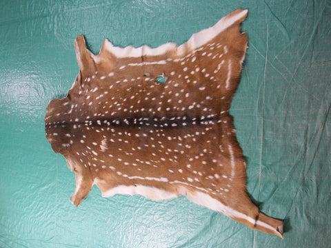 2nd Grade Axis Deer Skin Rug - Size: 47"x38" Axis-649