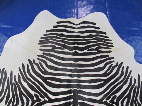 Zebra Print Cowhide Rug (neck has some yellow lines) Size: 7x6.2 feet M-1598