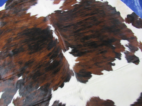 Tricolor Cowhide Rug Size: 7.5x6.7 feet C-1737