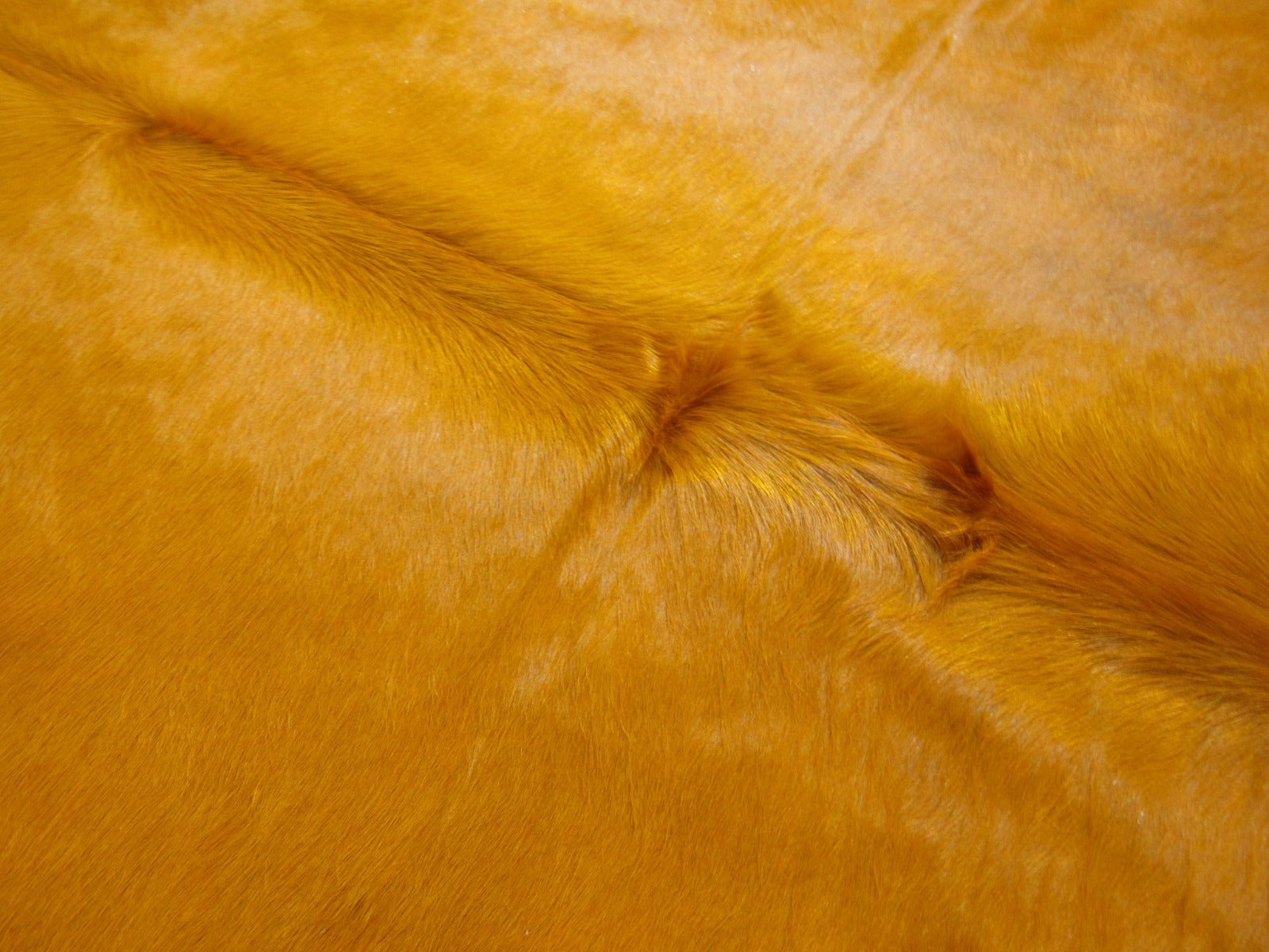 Dyed Orange Cowhide Rug - Size: 7x6 feet C-1747