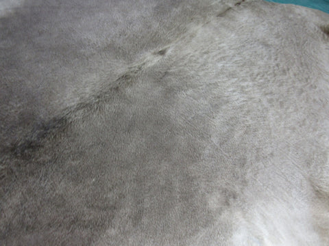 Alpen Cowhide Rug Size: 8x7 1/4 feet M-1018