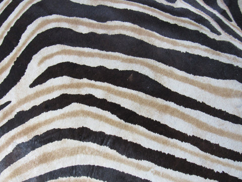 Genuine Zebra Cowhide Rug (both inner and outer stripes are brown) Size: 7 1/4x6 feet O-1016