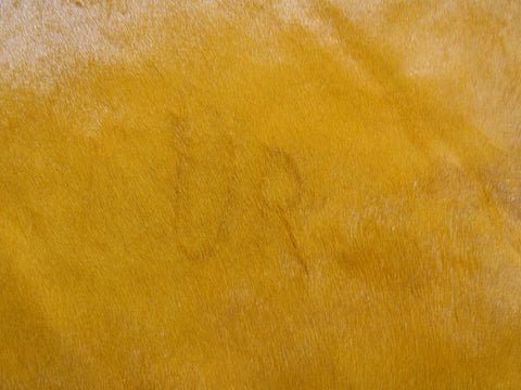 Dyed Orange Cowhide Rug - Size: 7.5' x 7' O-1018