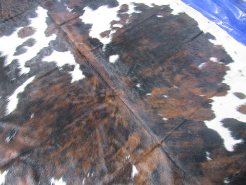 Tricolor Cowhide Rug Size: 7.7x7 feet C-1759