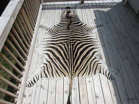 Real Zebra Skin Rug BRAND NEW Burchell's Hide (A few small scars) Tail is 29" Size: 8x6 Zebra-103