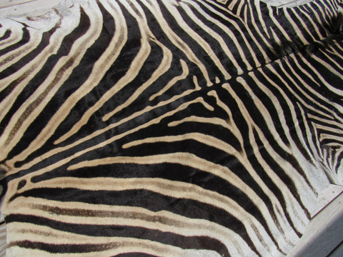 Real Zebra Skin Rug BRAND NEW Burchell's Hide (A few small scars) Tail is 29" Size: 8x6 Zebra-103