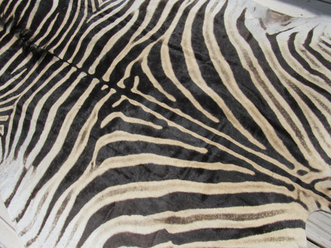 Real Zebra Skin Rug BRAND NEW Burchell's Hide (A few small scars) Tail is 29" Size: 8x6 Zebra-103