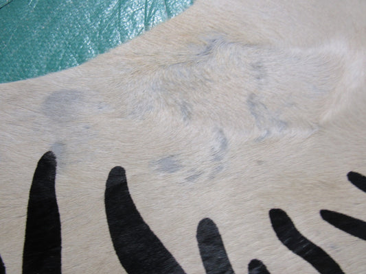 Tapis en peau de vache zèbre fond beige (rugueuse avec quelques cicatrices) Taille : 7x6 pieds M-1036