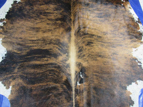 Gorgeous Brindle Tricolor Cowhide Rug Size: 8x7.2 feet C-1770